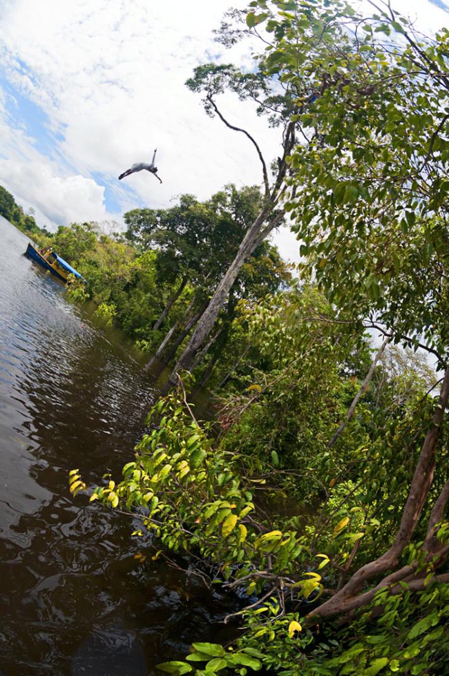 image_proxy_large (4)