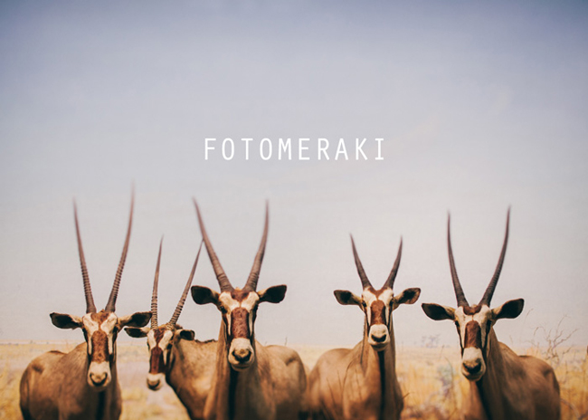 fotomeraki