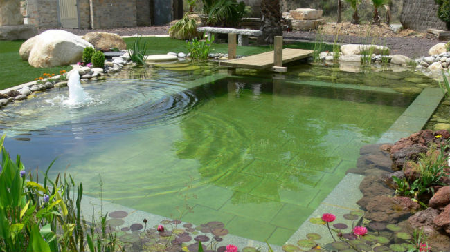 piscina natural