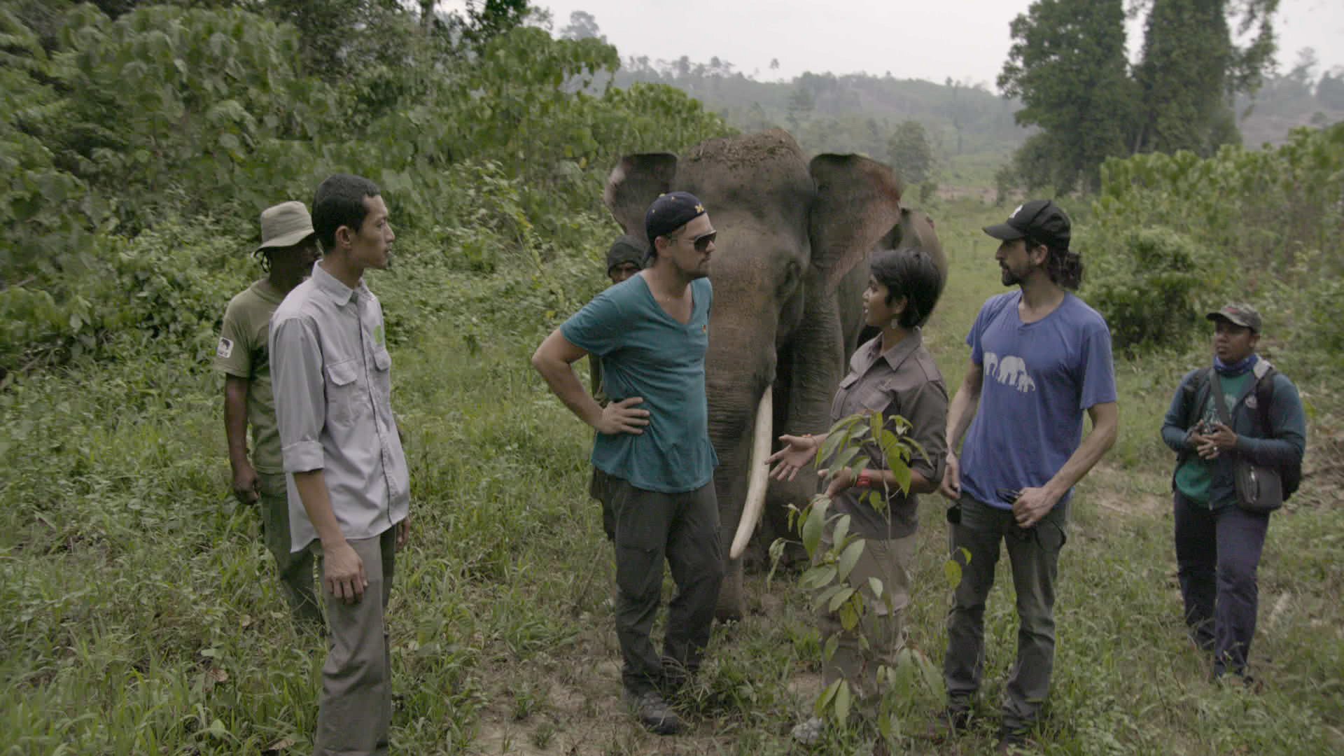 INDONESIA- Leonardo with Farwiza Farhan and Rudi Putra in the Leuser Ecosystem. For two years, Leonardo DiCaprio has criss-crossed the planet in his role as UN messenger of Peace on Climate Change. This film, executive produced by Brett Ratner and Martin Scorsese, follows that journey to find both the crisis points and the solutions to this existential threat to human species. © 2016 RatPac Documentary Films, LLC and Greenhour Corporation, Inc. All rights reserved.