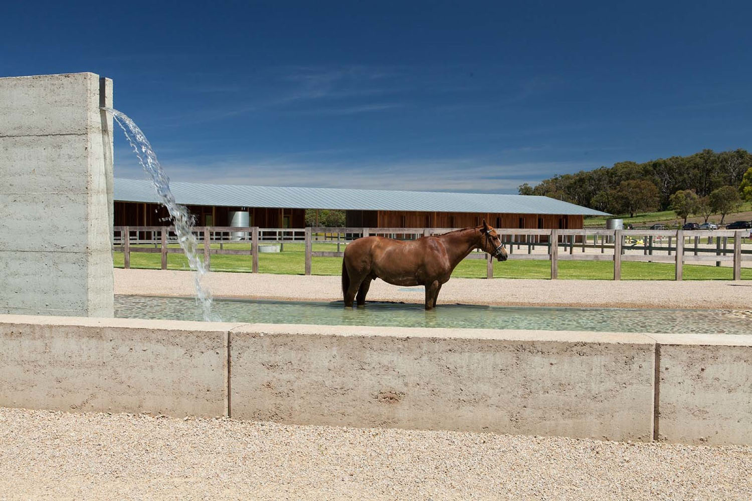 Merricks-caballerizas-sostenibles-Lisbeth-Grosmann-arquitectura-animales-caballos-EXCLAMA02