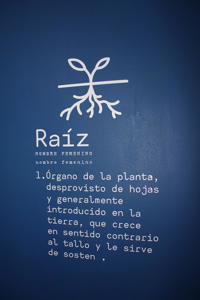 De.Raiz-EXCLAMA-Cocina-5