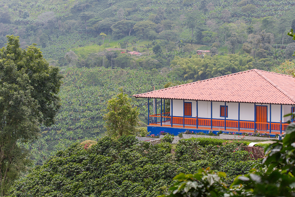 Café San Alberto - EXCLAMA (5)